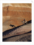 Rider with Shadow coming down Hill in Painted Desert by Anonymous