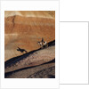 Rider with Shadow coming down Hill in Painted Desert by Anonymous