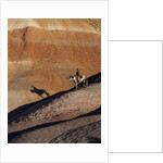 Rider with Shadow coming down Hill in Painted Desert by Anonymous