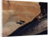 Riders with Shadow coming down Hill in Painted Desert by Anonymous