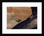 Riders with Shadow coming down Hill in Painted Desert by Anonymous
