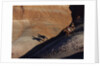 Riders with Shadow coming down Hill in Painted Desert by Anonymous