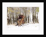 Cowboys riding in Autumn Aspens with a fresh snowfall by Anonymous