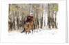 Cowboys riding in Autumn Aspens with a fresh snowfall by Anonymous