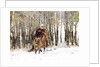 Cowboys riding in Autumn Aspens with a fresh snowfall by Anonymous