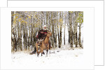 Cowboys riding in Autumn Aspens with a fresh snowfall by Anonymous