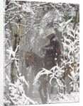 Cowboys riding in Autumn Aspens with a fresh snowfall by Anonymous