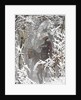 Cowboys riding in Autumn Aspens with a fresh snowfall by Anonymous
