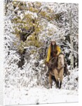 Cowgirl riding in Autumn Aspens with a fresh snowfall by Anonymous
