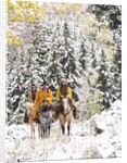 Cowgirls and Cowboy riding in Autumn Aspens with a fresh snowfall by Anonymous