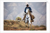 Cowboy at Full Gallop by Anonymous