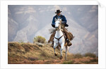 Cowboy at Full Gallop by Anonymous