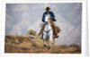 Cowboy at Full Gallop by Anonymous