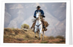 Cowboy at Full Gallop by Anonymous