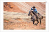 Cowboy at Full Gallop by Anonymous