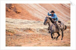Cowboy at Full Gallop by Anonymous