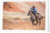 Cowboy at Full Gallop by Anonymous
