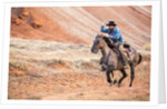 Cowboy at Full Gallop by Anonymous