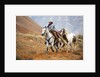 Cowgirl at Full Gallop with Horses in tow by Anonymous