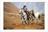Cowgirl at Full Gallop with Horses in tow by Anonymous
