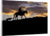 Cowboy in silhouette with sunset by Anonymous