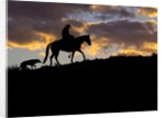Cowboy in silhouette with sunset by Anonymous