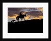 Cowboy in silhouette with sunset by Anonymous