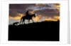 Cowboy in silhouette with sunset by Anonymous