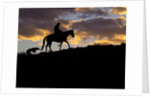 Cowboy in silhouette with sunset by Anonymous