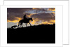 Cowboy in silhouette with sunset by Anonymous