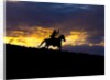 Cowboy in silhouette with sunset by Anonymous