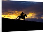 Cowboy in silhouette with sunset by Anonymous