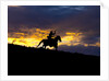 Cowboy in silhouette with sunset by Anonymous