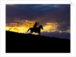 Cowboy in silhouette with sunset by Anonymous