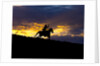 Cowboy in silhouette with sunset by Anonymous