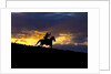 Cowboy in silhouette with sunset by Anonymous