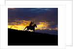 Cowboy in silhouette with sunset by Anonymous