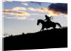 Cowboy in silhouette with sunset by Anonymous