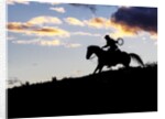 Cowboy in silhouette with sunset by Anonymous