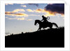 Cowboy in silhouette with sunset by Anonymous