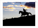 Cowboy in silhouette with sunset by Anonymous