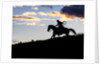 Cowboy in silhouette with sunset by Anonymous