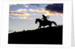 Cowboy in silhouette with sunset by Anonymous
