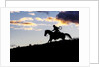 Cowboy in silhouette with sunset by Anonymous