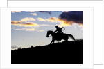 Cowboy in silhouette with sunset by Anonymous