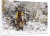 Cowgirl riding in Autumn Aspens with a fresh snowfall by Anonymous