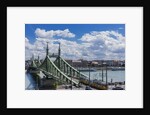 Szabadsag hid (Liberty Bridge or Freedom Bridge), River Danube and the town of Pest by Anonymous