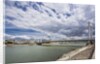 The river Danube, the Elisabeth Bridge, the town of Pest by Anonymous