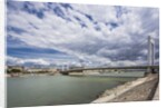 The river Danube, the Elisabeth Bridge, the town of Pest by Anonymous