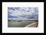 The river Danube, the Elisabeth Bridge, the town of Pest by Anonymous